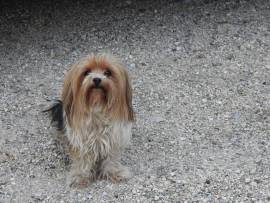 Wikingerschiff Bau | April 2025