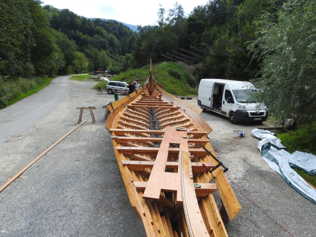 Wikinger Nachwuchs 16. August 2024