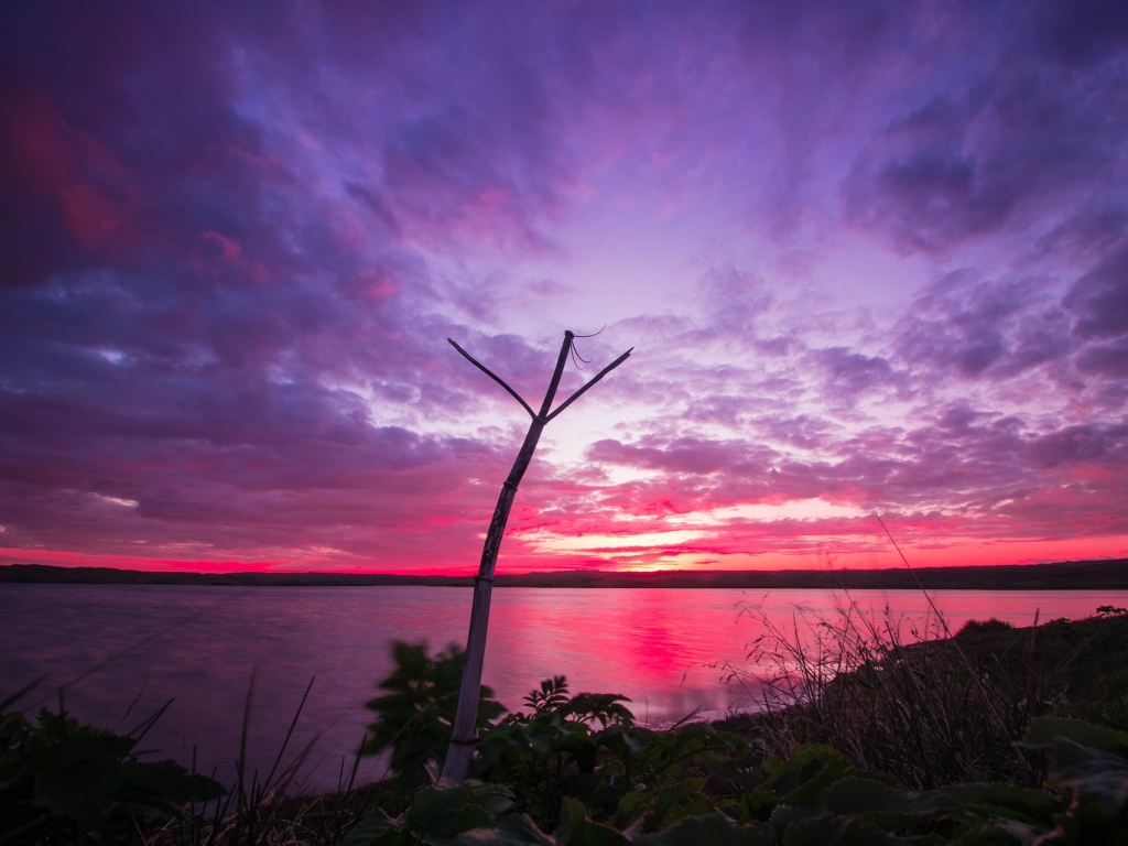 Algiz © by deceptionpics | pixabay